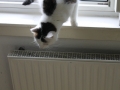 img_0277