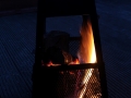 IMG_0750 (Large)