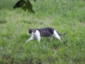 IMG_0147 (Large)