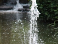 IMG_0177 (Large)