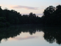 IMG_0188 (Large)