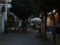 IMG_0219 (Large)