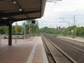 IMG_4861.jpg