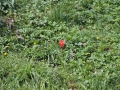 IMG_4475.jpg