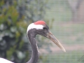 IMG_5567.jpg