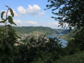 IMG_2021 (Large)