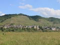 IMG_2034 (Large)