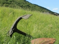 IMG_2037 (Large)
