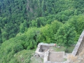 IMG_2061 (Large)