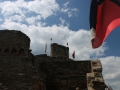 IMG_2105 (Large)