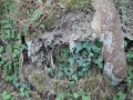 IMG_2111 (Large)