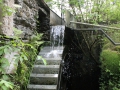 IMG_2116 (Large)