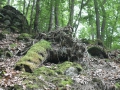 IMG_2118 (Large)