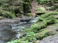 IMG_2124 (Large)