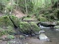 IMG_2125 (Large)