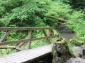 IMG_2131 (Large)