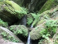 IMG_2132 (Large)