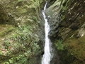 IMG_2133 (Large)