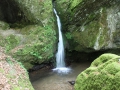 IMG_2137 (Large)