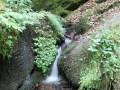 IMG_2138 (Large)