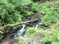 IMG_2140 (Large)