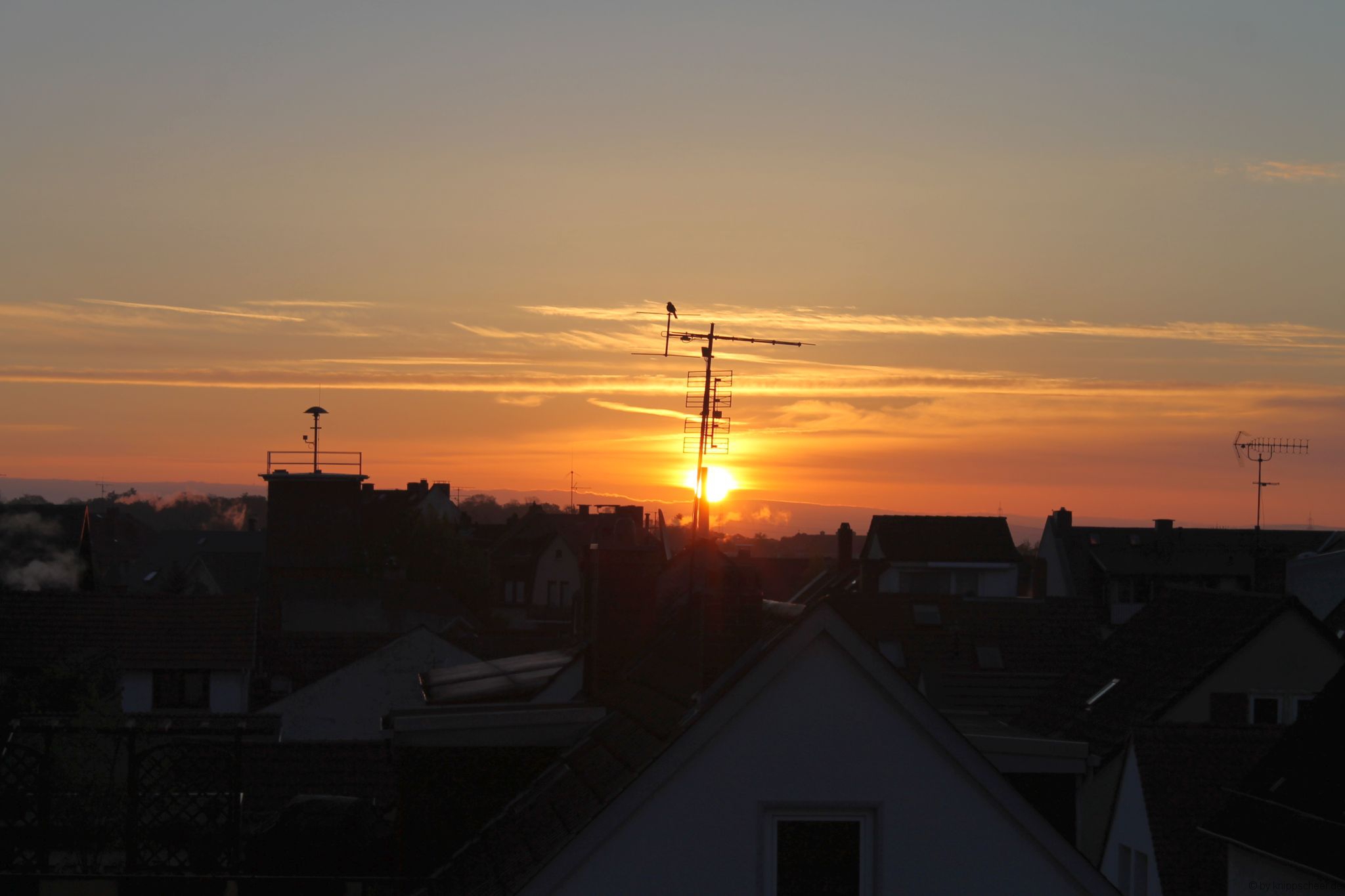 Sonnenaufgang @home