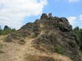 IMG_2536 (Large)