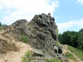 IMG_2537 (Large)