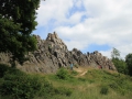 IMG_2542 (Large)