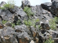 IMG_2543 (Large)
