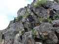 IMG_2544 (Large)