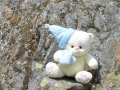 IMG_2548 (Large)