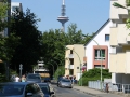 IMG_2657 (Large)