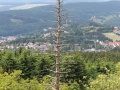 IMG_2813 (Large)