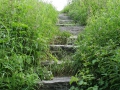 IMG_2826 (Large)