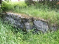 IMG_2827 (Large)