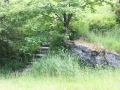 IMG_2830 (Large)