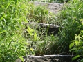 IMG_2833 (Large)