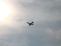 IMG_1158 (Large)