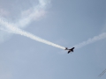 IMG_1196 (Large)