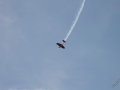 IMG_1221 (Large)