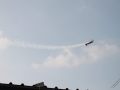 IMG_1229 (Large)