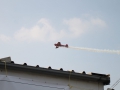 IMG_1241 (Large)
