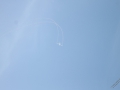 IMG_1262 (Large)