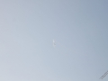 IMG_1276 (Large)