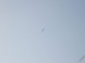 IMG_1278 (Large)