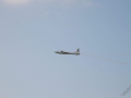 IMG_1279 (Large)