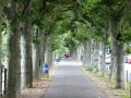 IMG_0754 (Large)