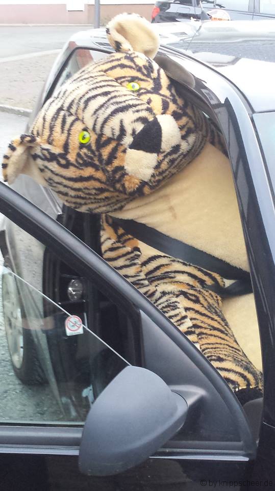 Gustav zu Reisebeginn