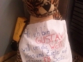 Gustav in Frankfurt